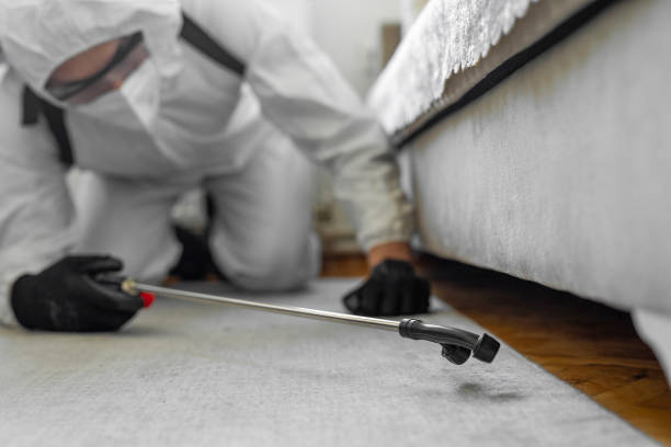 Professional Cockroach Control technician working in Cherokee, NC