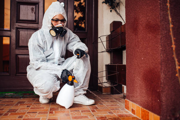 Reliable Cockroach Control contractor in Cherokee, NC by Nex Pest Control